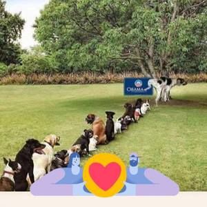 Meet your Posher, Michael